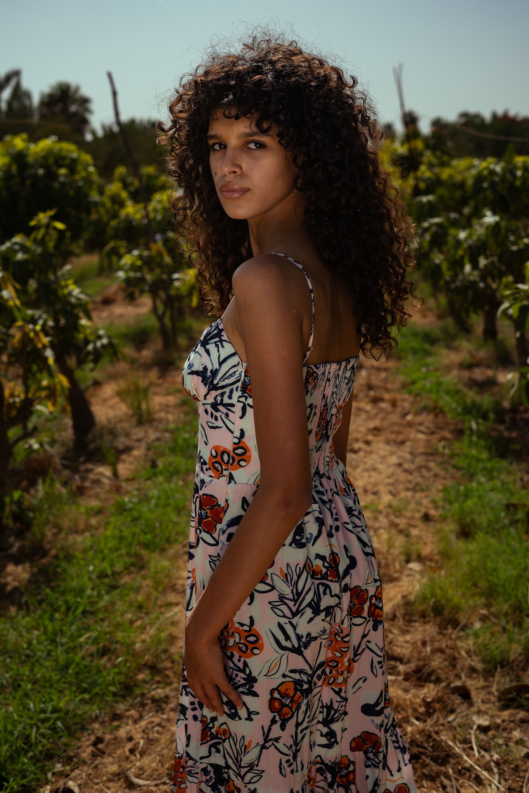 Sakura Symphony Dress