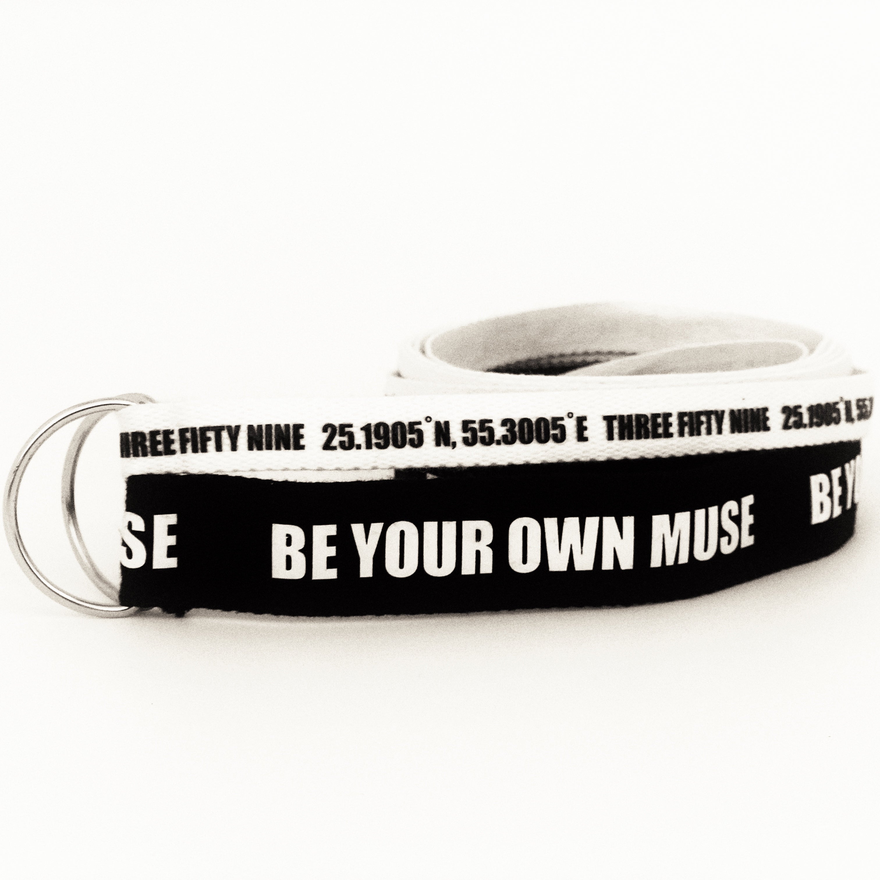 Coordinates duo belt